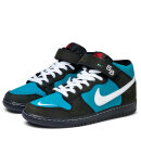 Nike SB - Dunk Mid Pro (iso)