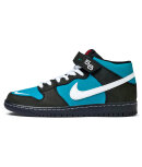 Nike SB - Dunk Mid Pro (iso)