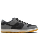 Nike SB - Dunk Low Pro