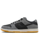 Nike SB - Dunk Low Pro