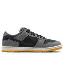 Nike SB - Dunk Low Pro