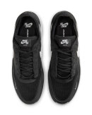 Nike SB - PS8